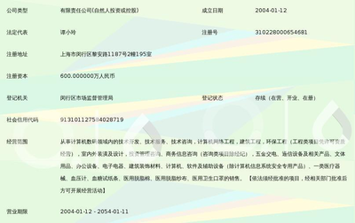 上海辉业企业发展与上海信息技术咨询服务的核心实力探究
